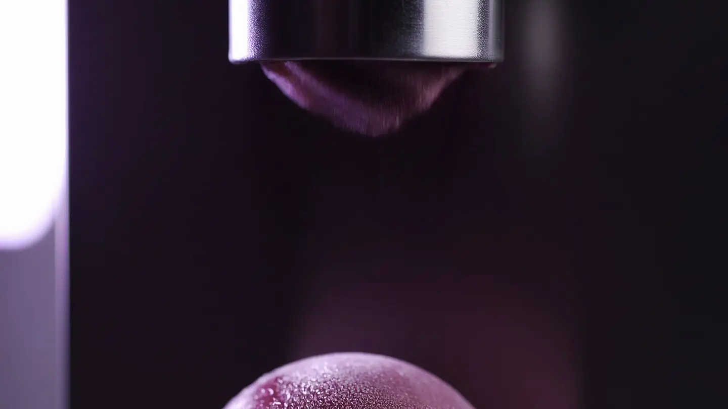 Le sorbet